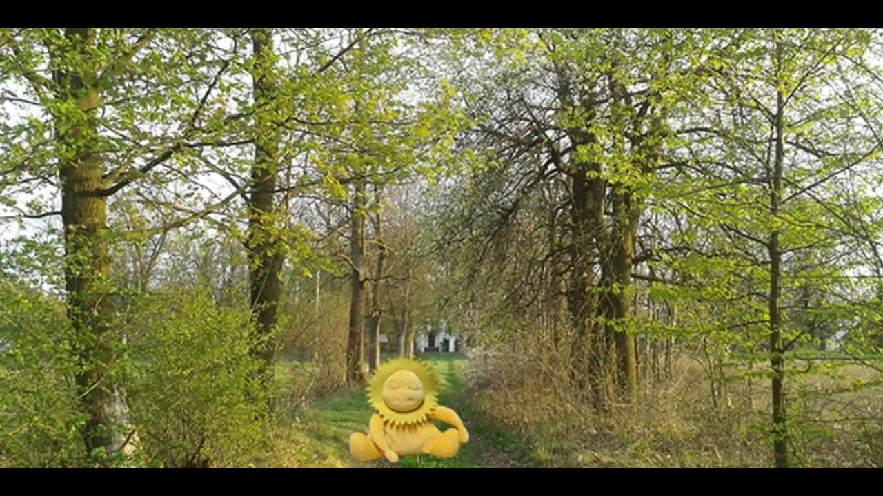 Bajka - Jak kochasz zdrowie to je masz